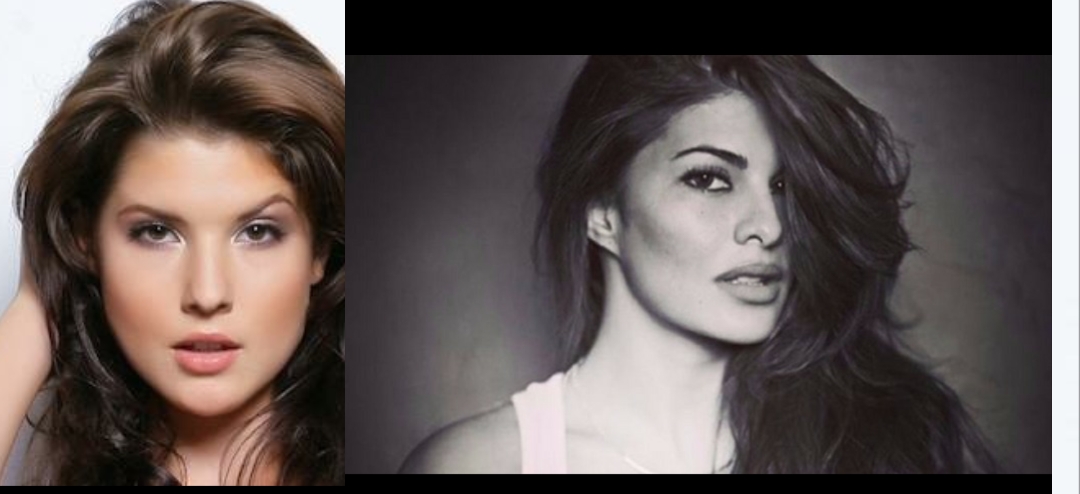 She Looks Like Jacqueline Fernandes