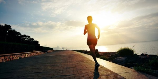 How to lose weight