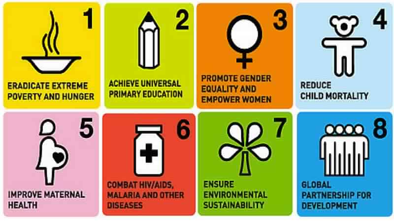 Millennium Development Goal