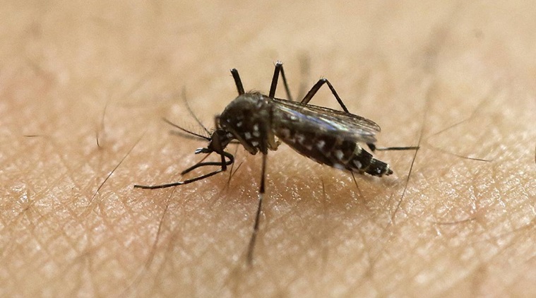 Increasing instances of monsoon fever