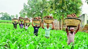 nabard