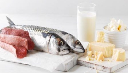 The SOLO Food You Need