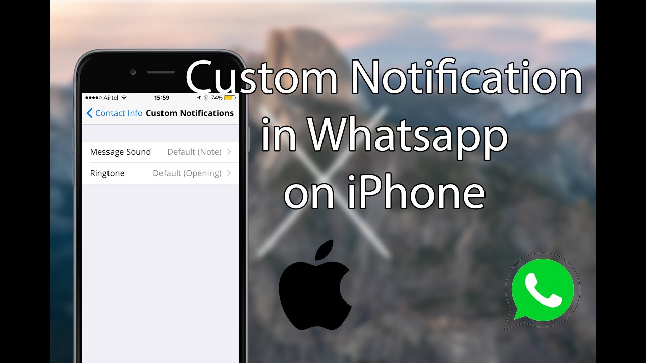 now preview videos through push notifications in Whatsapp