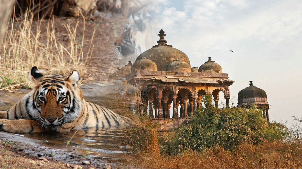 Top 5 Tourist Destination