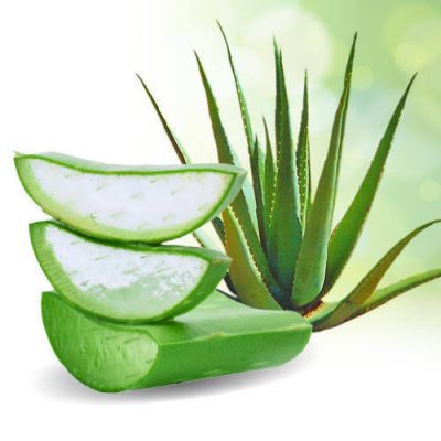 Benefits of Aloe Vera