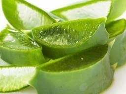 Benefits of Aloe Vera
