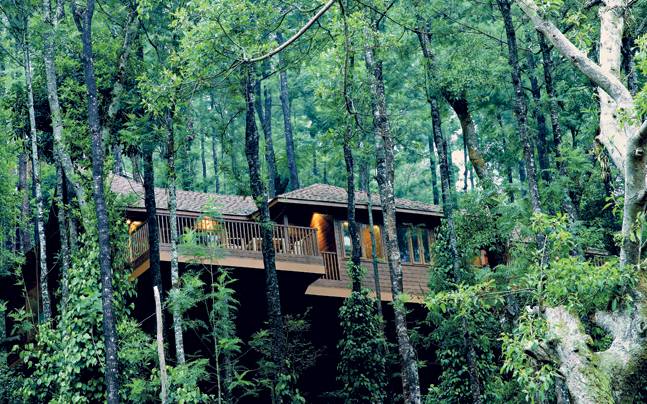 Coorg is one of the getaways from Bangalore to spend weekend