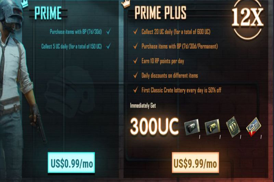 Prime and Prime Plus Membership