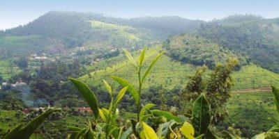 Magnificent Trekking points of South India