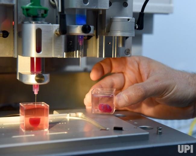 Scientists have developed a 3D Heart: See how it looks and know all about it