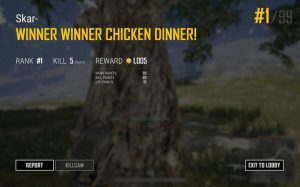 unknown facts about PUBG