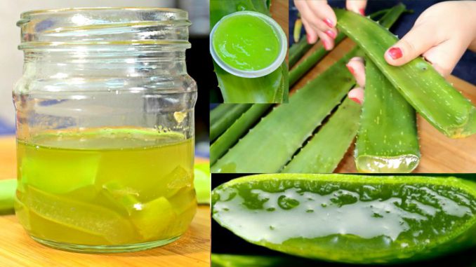 इन घरेलू उपचार के साथ अपने जिद्दी स्ट्रेच मार्क्स के निशान हटाएं