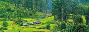 Best summer destinations