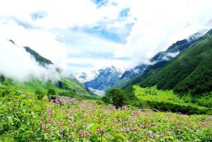 UNESCO World Heritage