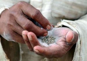 आखिर कौन था यह