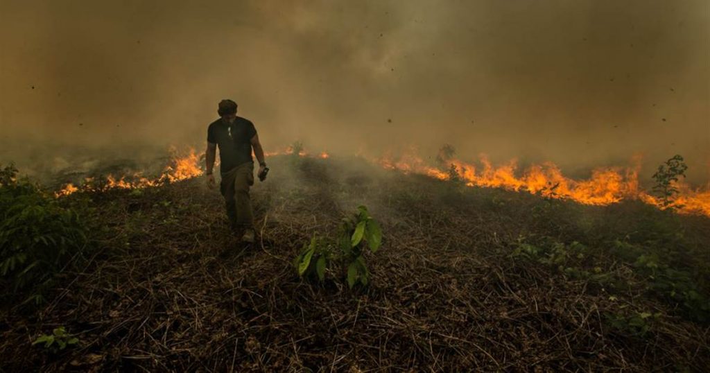 Amazon Rainforest Fire