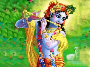 श्रीकृष्ण जी की कृपा