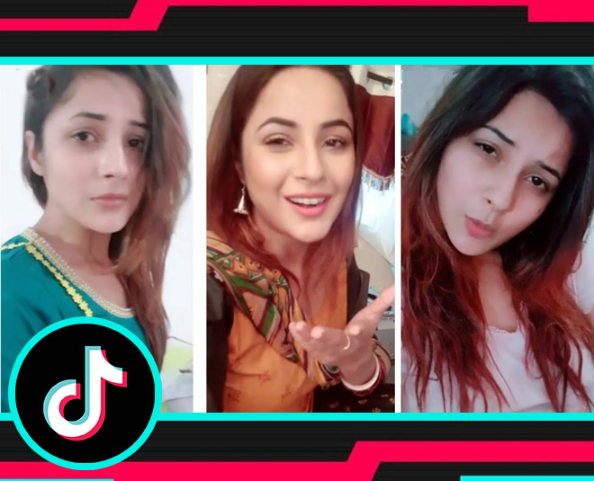 शहनाज़ गिल का टिकटॉक वीडियो
