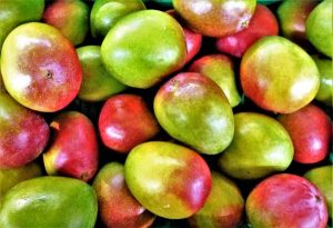 हमारे स्वास्थ्य के लिए