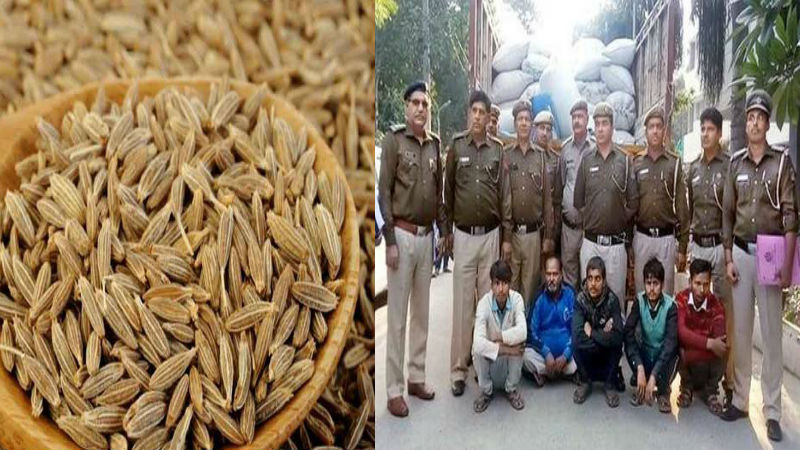 भोजन में जीरे का इस्तेमाल करना हो सकता है बेहद हानिकारक, जाने आखिर क्यों Youth Express