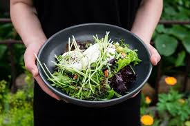 Do Not Have Any Doubt And Come Have Some Sprouts