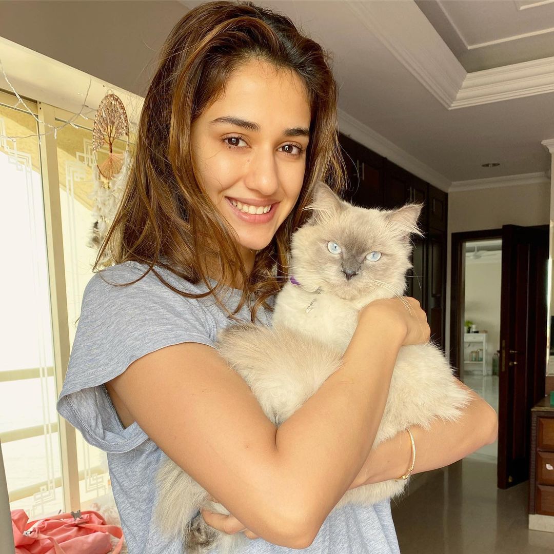 Disha Patani Sizzles In Red Bikini & Made Fans Go Gaga
