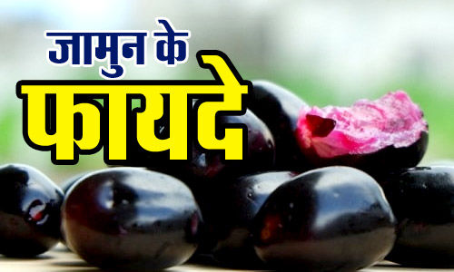 जानियें जामुन के फायदे, क्यों होता है लाभकारी