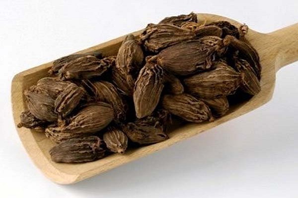 बड़ी इलायची होती है औषधीय गुणों से भरपूर, सेहत को पहुंचाती है लाभ